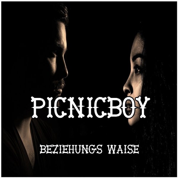 Picnicboy