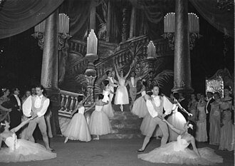 Die Fledermaus
