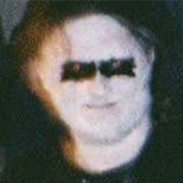 Die Lungen