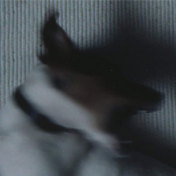 Sonytagartony