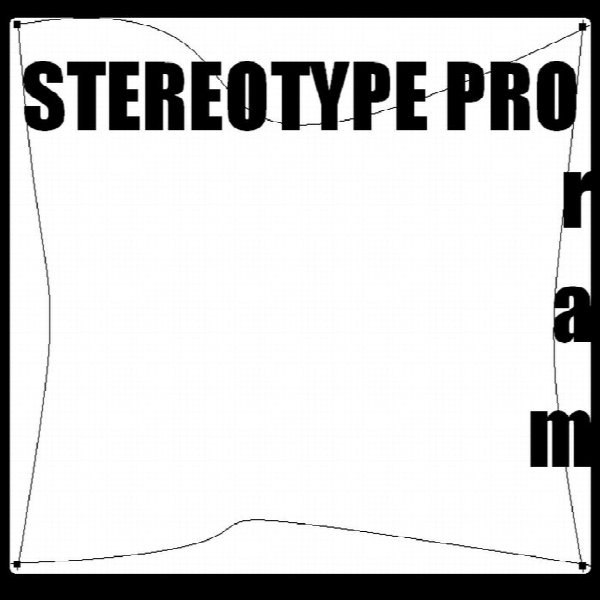 STEREOTYPE PRO
