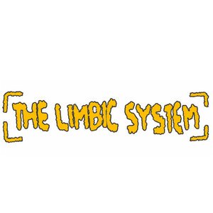 The Limbic System