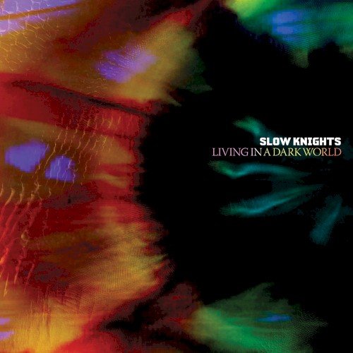 The Slow Nights