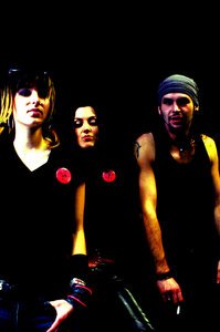 The Venusshells