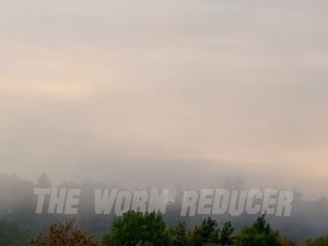 THE WORM REDUCER