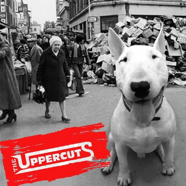Uppercuts