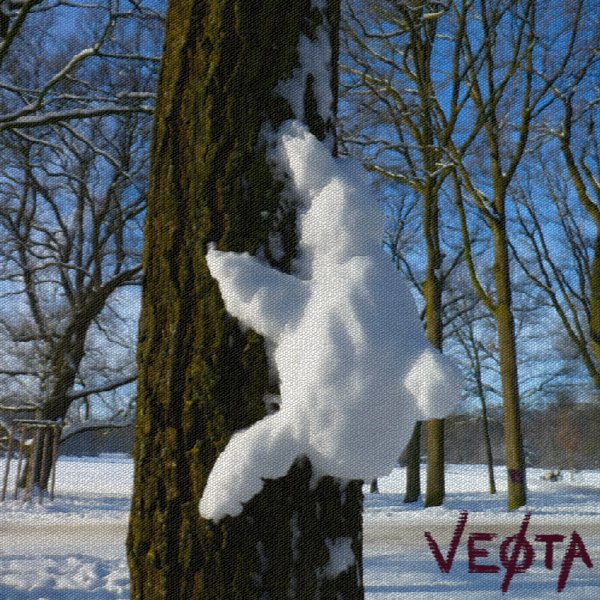 VEØTA