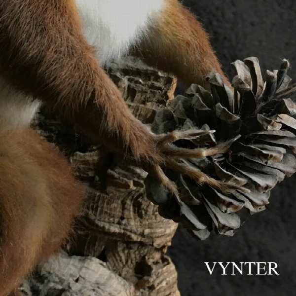 VYNTER