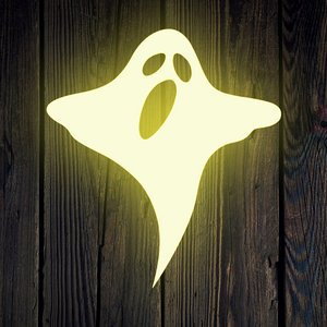 Wood Ghosts Records