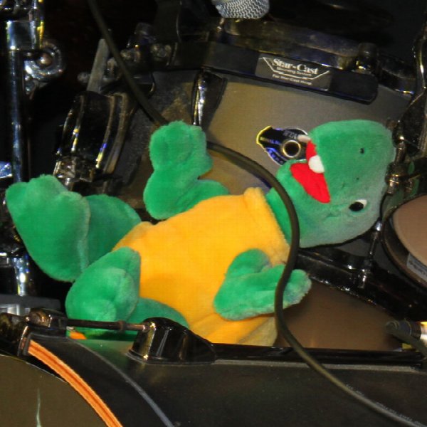 World Turtle Day