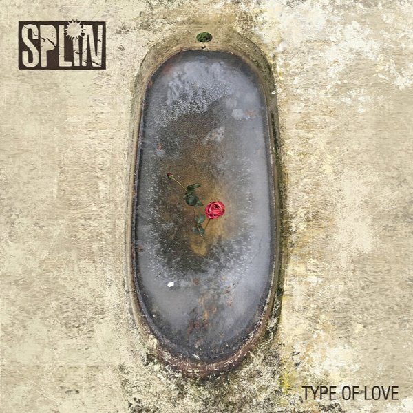 Splin