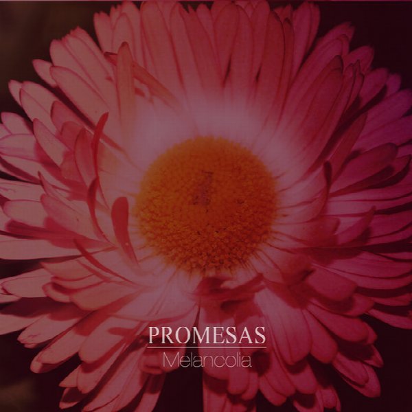 Promesas