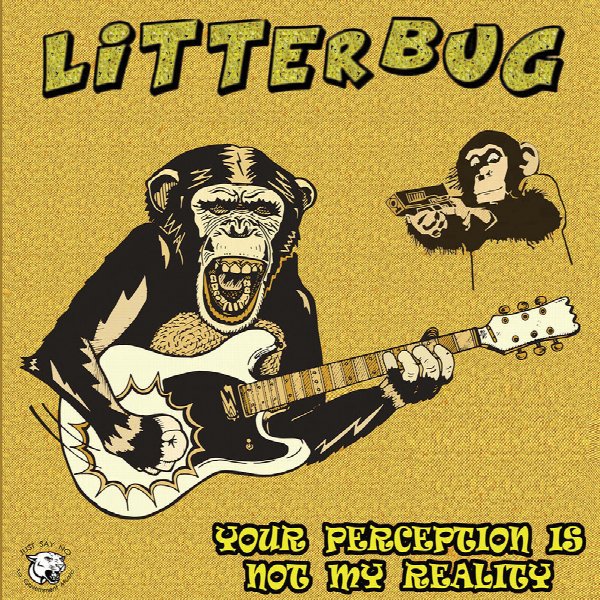 litterbug