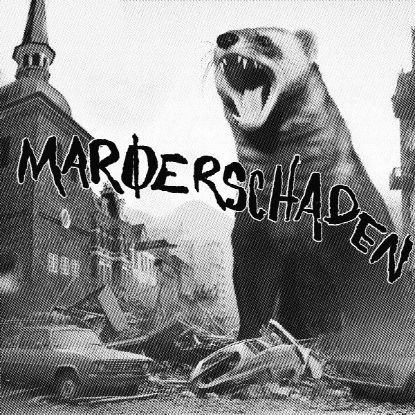 Marderschaden