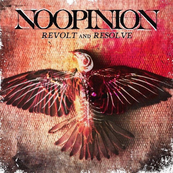 NoOpinion
