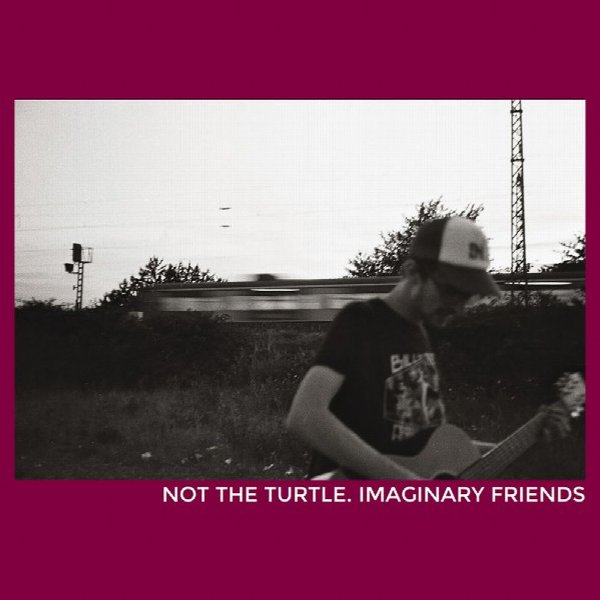 Not the Turtle.