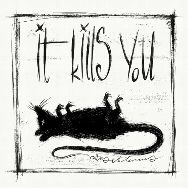 rattus cholericus