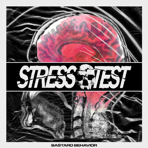 Stresstest