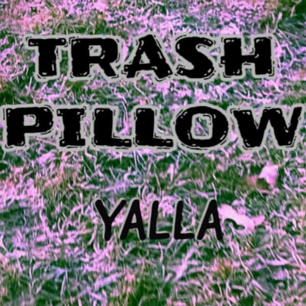 Trash Pillow