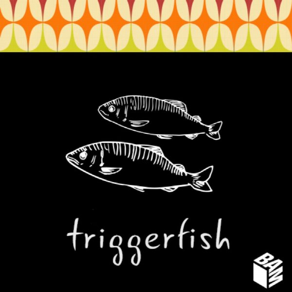 Triggerfish