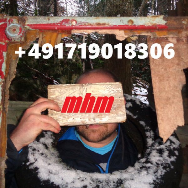 +491719018306
