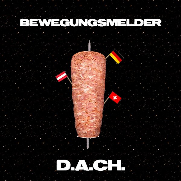 BEWEGUNGSMELDER