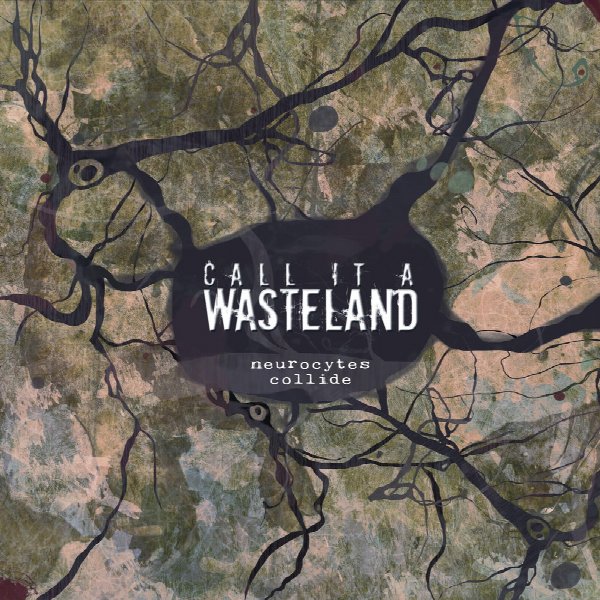 Call It A Wasteland