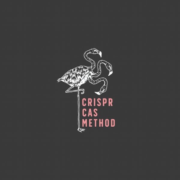 Crispr Cas Method