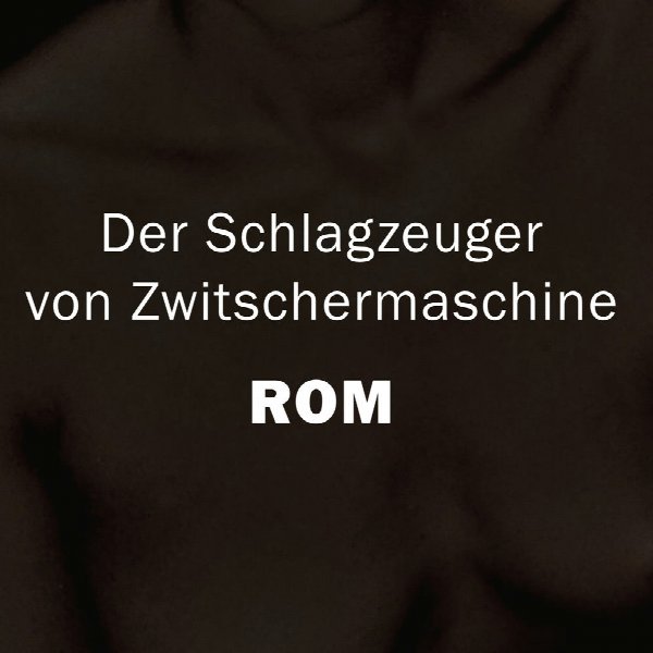 Der Schlagzeuger von Zwitschermaschine