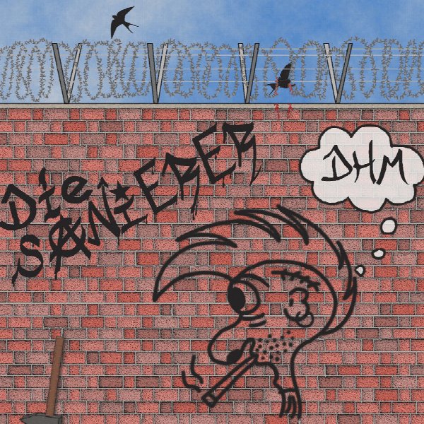 Die Sanierer