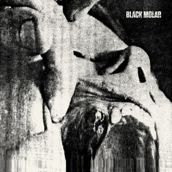 Black Molar