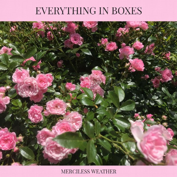 Everything in Boxes