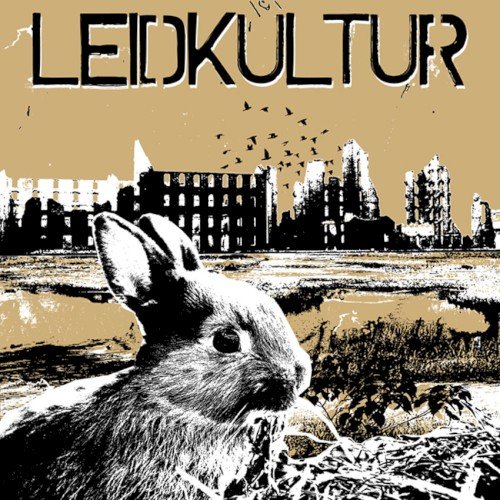 Leidkultur