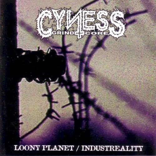 Cyness