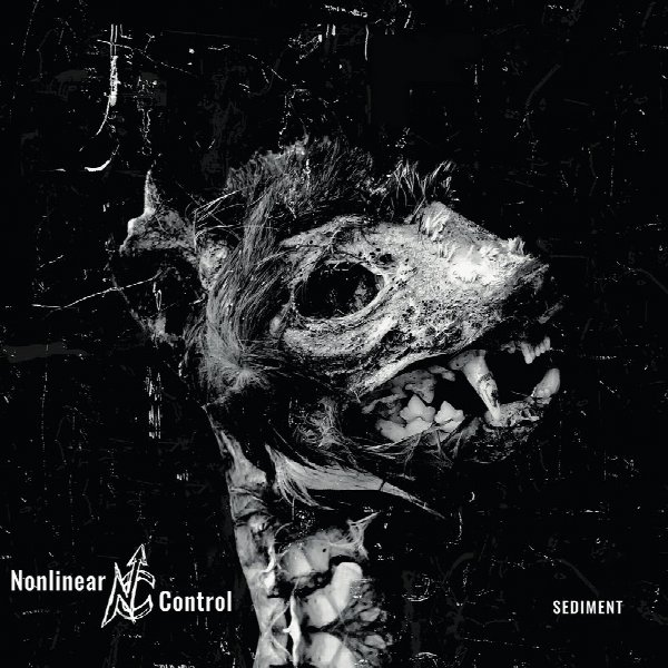 Nonlinear Control